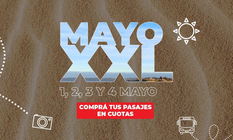Finde XXL Mayo